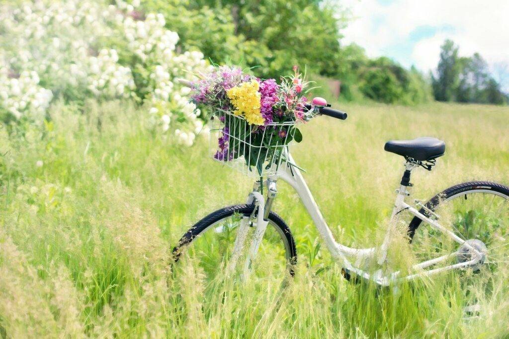 pyörä-niitty-kesä-kukat